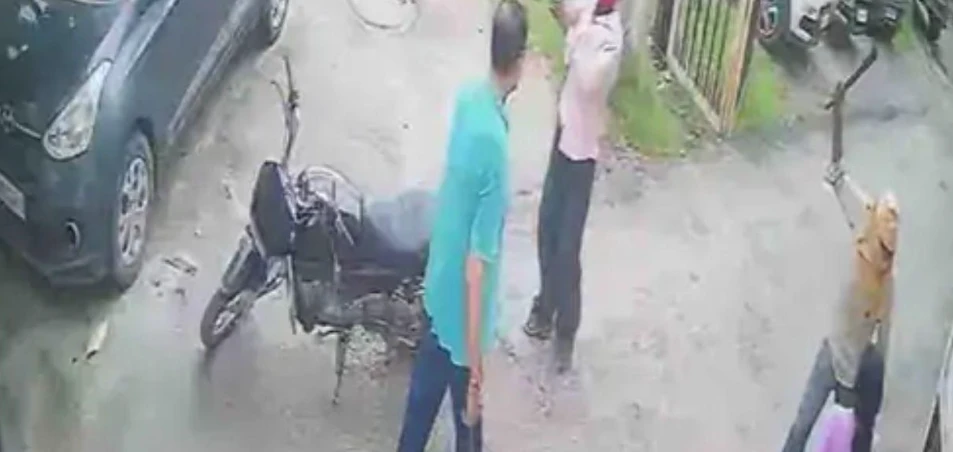 IMG